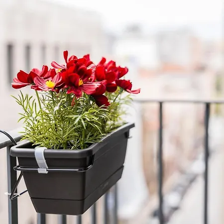 Apartment Guestready - Tranquility In Downtown Porto