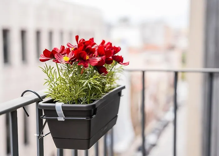 Apartman Guestready - Tranquility In Downtown Porto